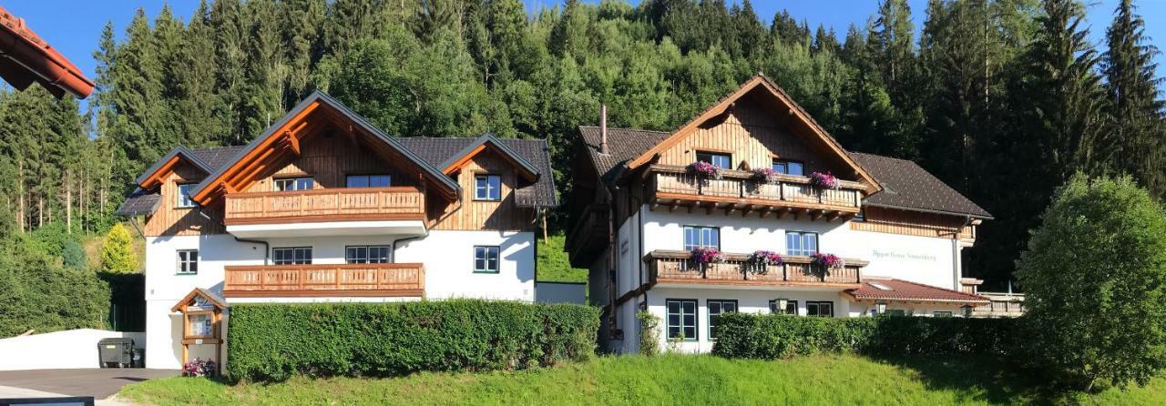 Апартаменти Platzhirsch Гаус-ім-Енншталь Екстер'єр фото